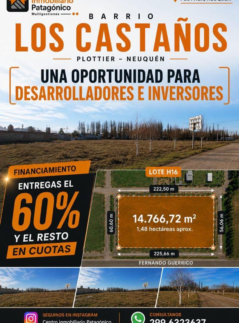 Foto de VENTA DE GRAN TERRENO COMERCIAL SOBRE RUTA 22, imagen 4