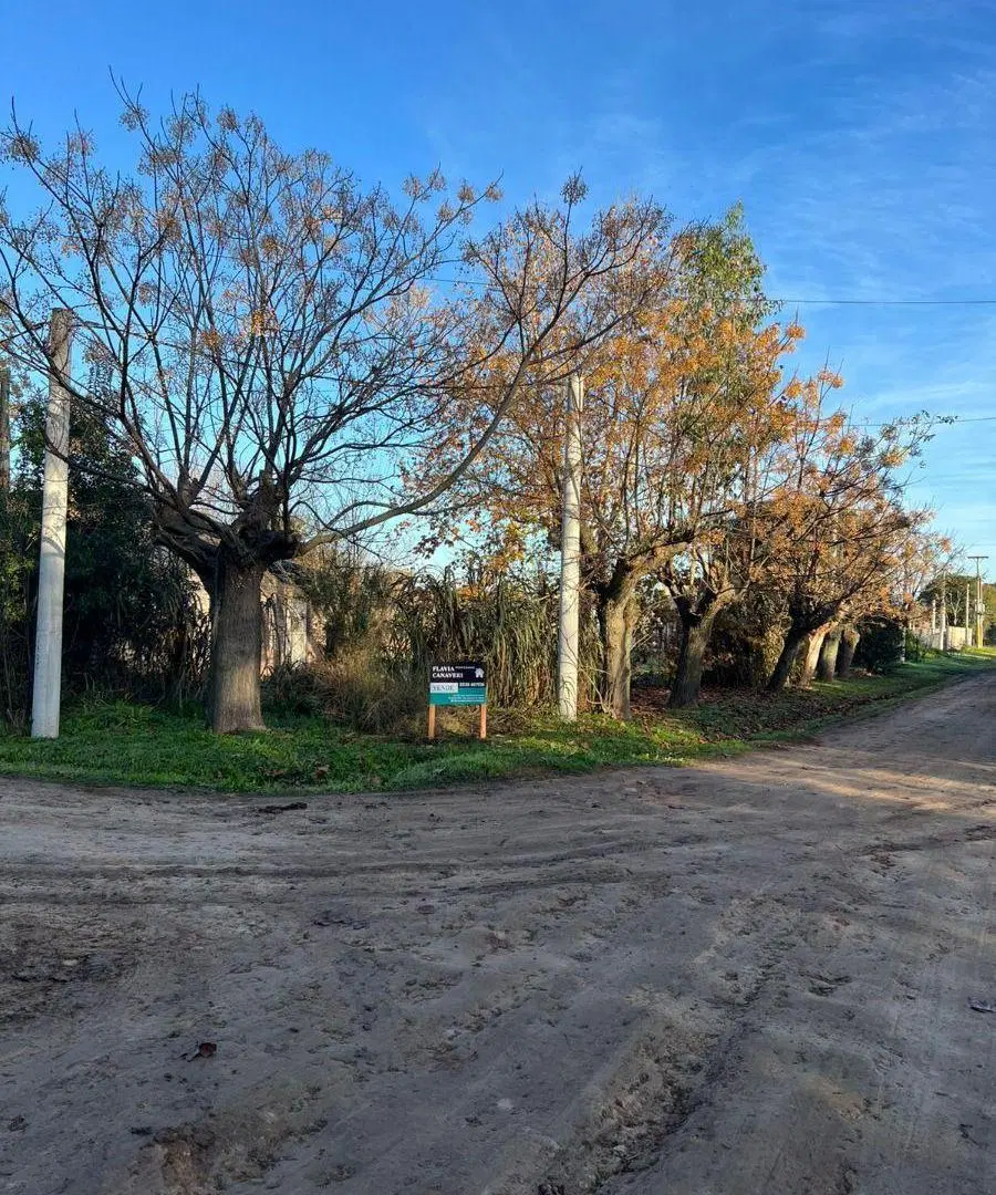 Loteen esquina de Salta y Moreno 4