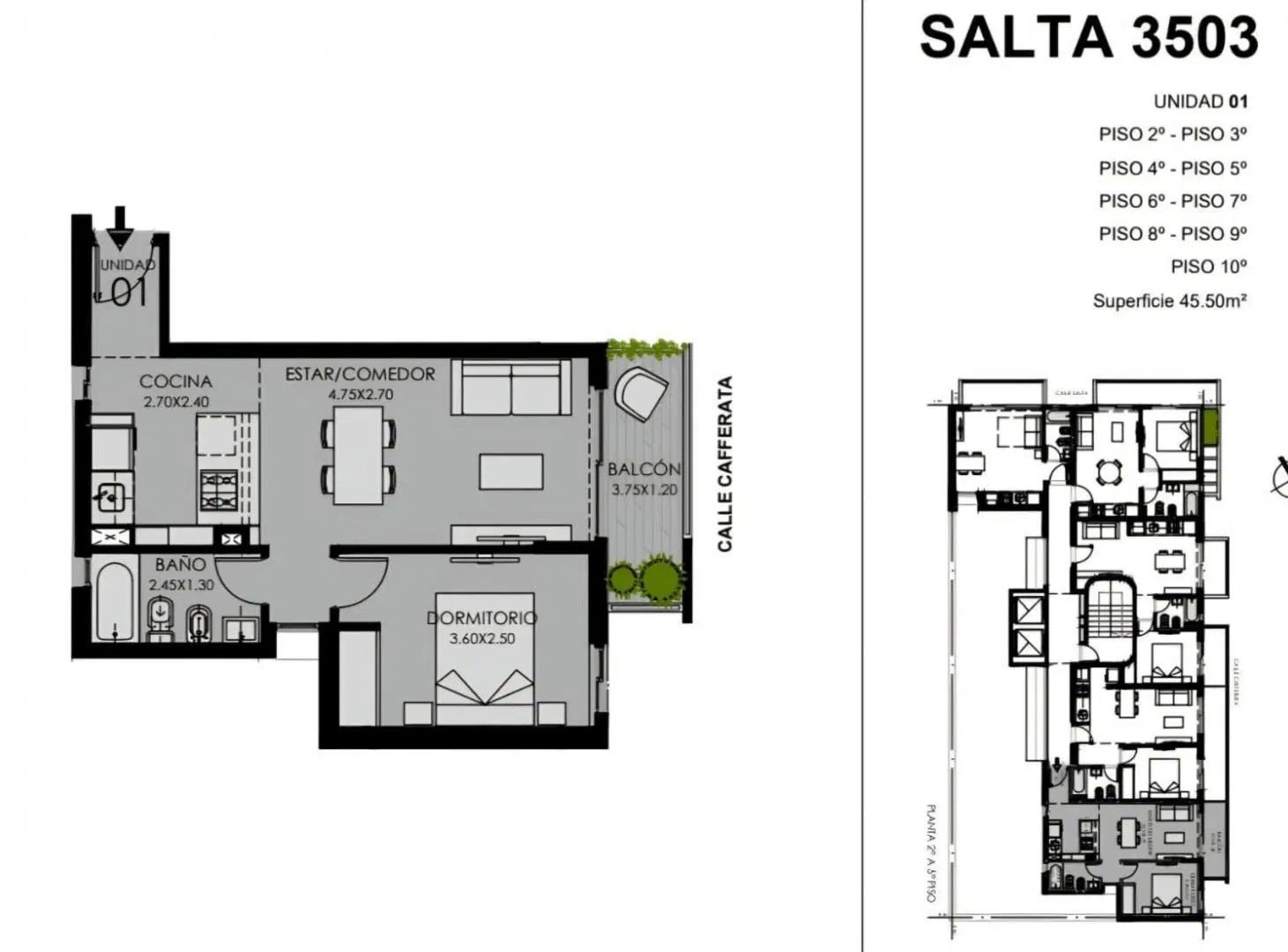 Plano 1