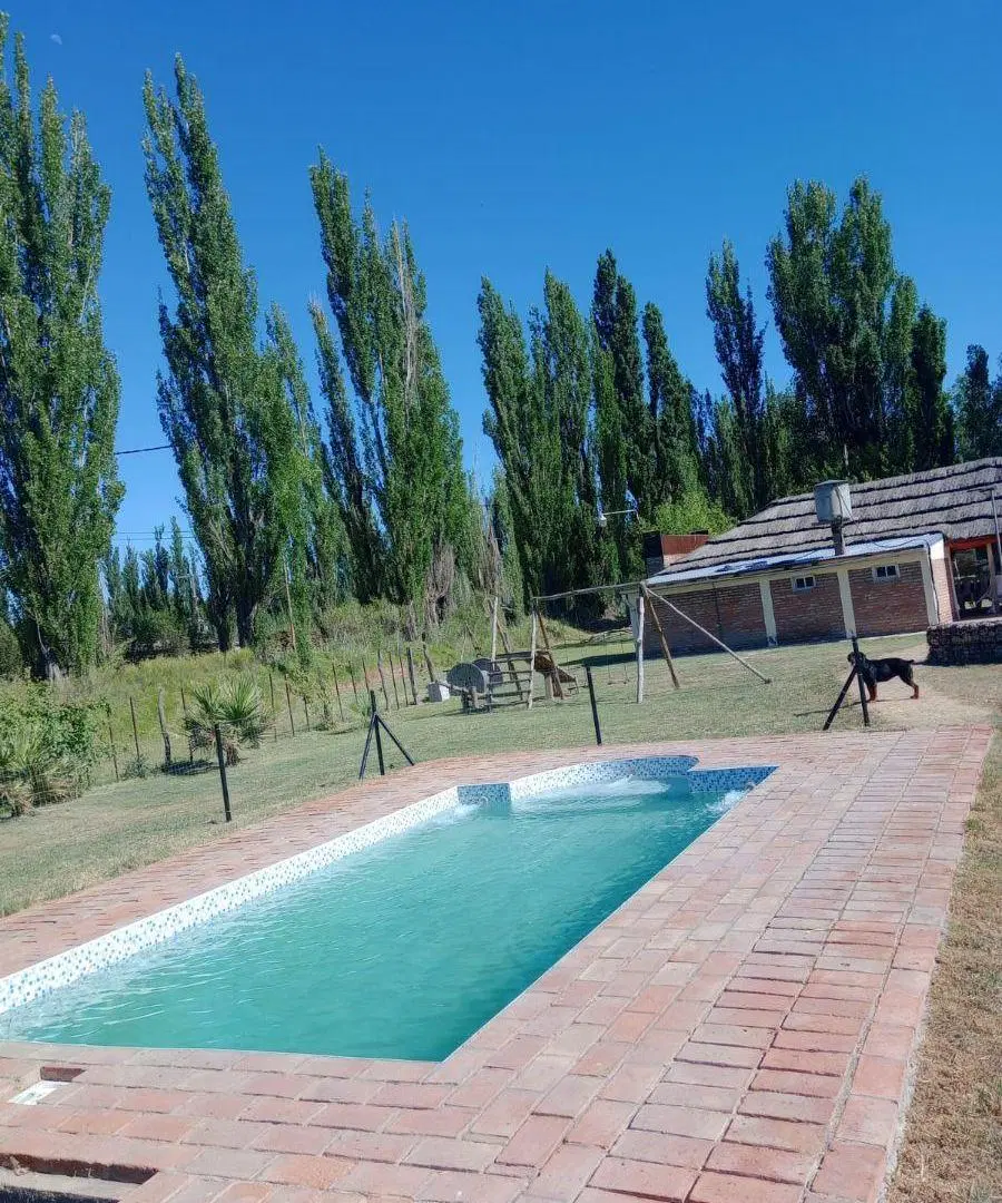 Complejo Turístico y Salón de Eventos sobre 5,5 ha - Villa Atuel - San Rafael - Mendoza 2