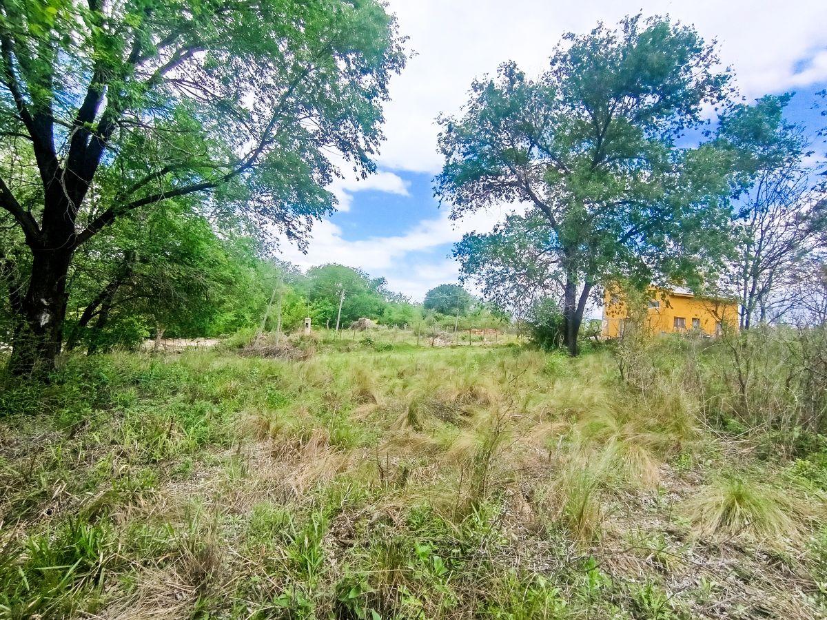 Foto de Lote en venta Cosquin, cerca del centro, cerca de la ruta 38, lote plano, imagen 5