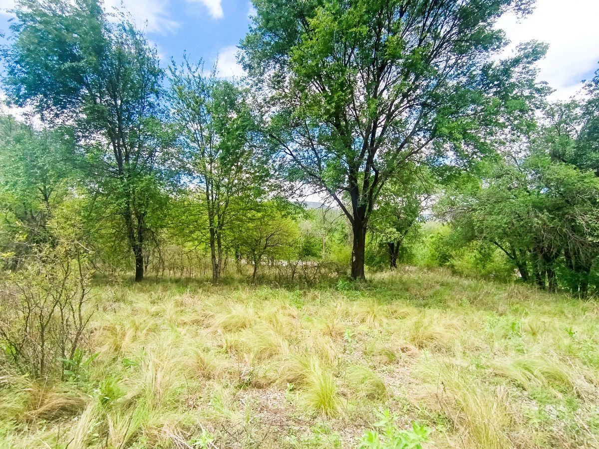 Foto de Lote en venta Cosquin, cerca del centro, cerca de la ruta 38, lote plano, imagen 1