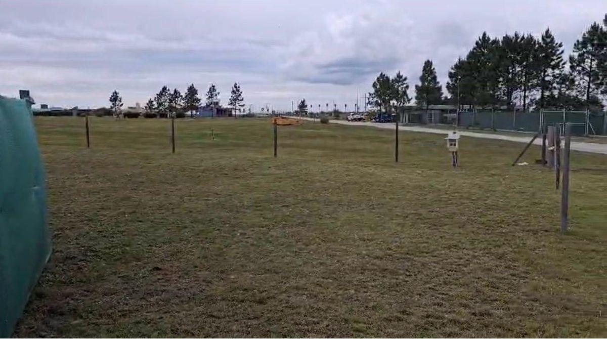 Foto de OPORTUNIDAD UNICA !! LOTE EN PUERTO DEL AGUILA - LOS REARTES - 1200 MTS., imagen 4