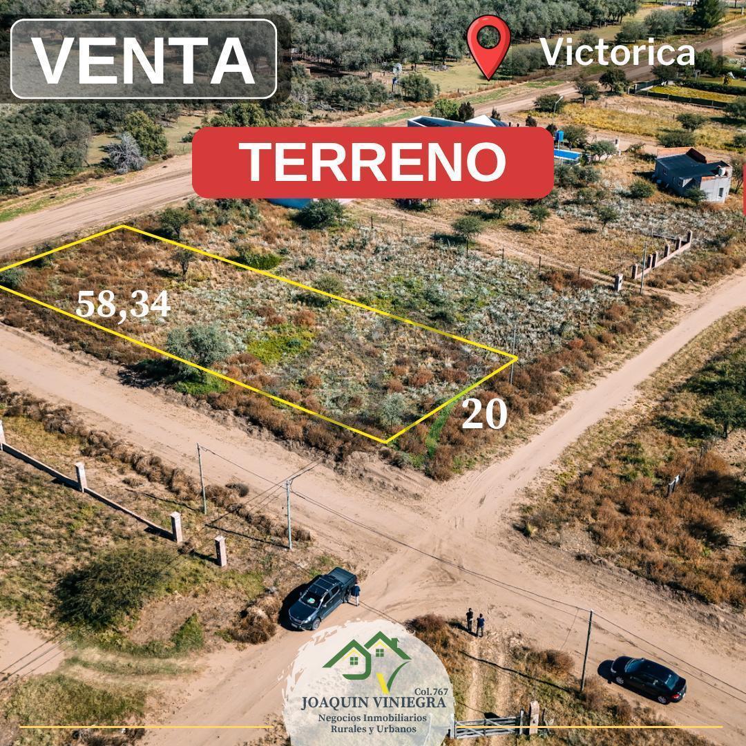 Foto de Terreno en Victorica, imagen 3