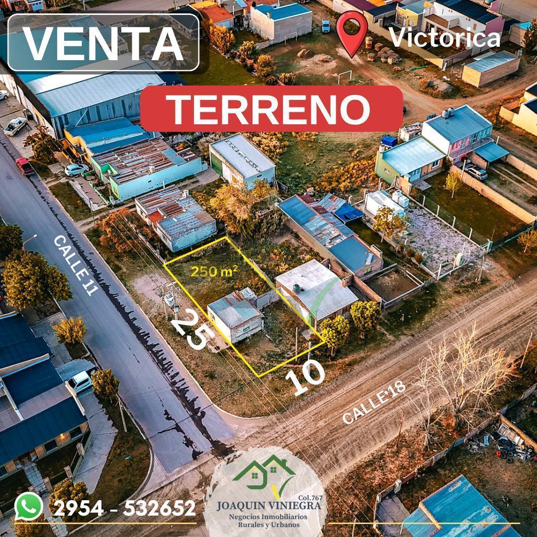 Foto de Terreno Centrico en Victorica, imagen 2