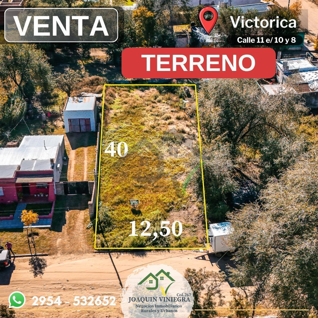 Foto de Terreno amplio en Venta - Victorica, imagen 1