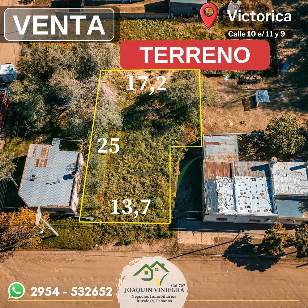 Foto de Terreno amplio en Venta - Victorica, imagen 3