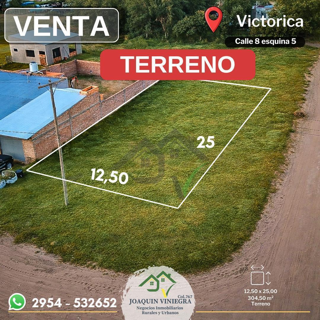 Foto de Terreno en esquina I Venta I Victorica, imagen 1