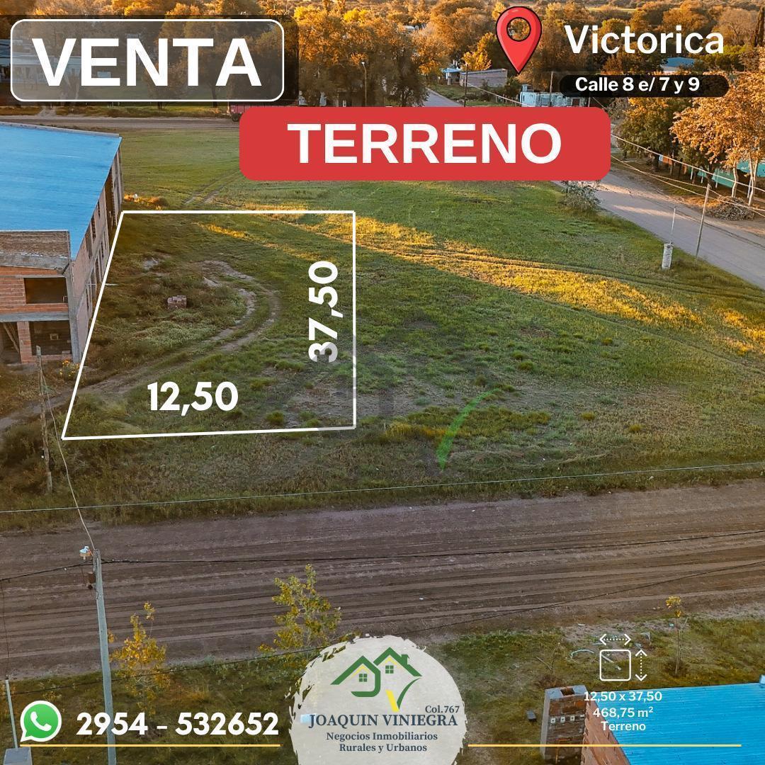 Foto de Terreno amplio en Venta I Victorica, imagen 1