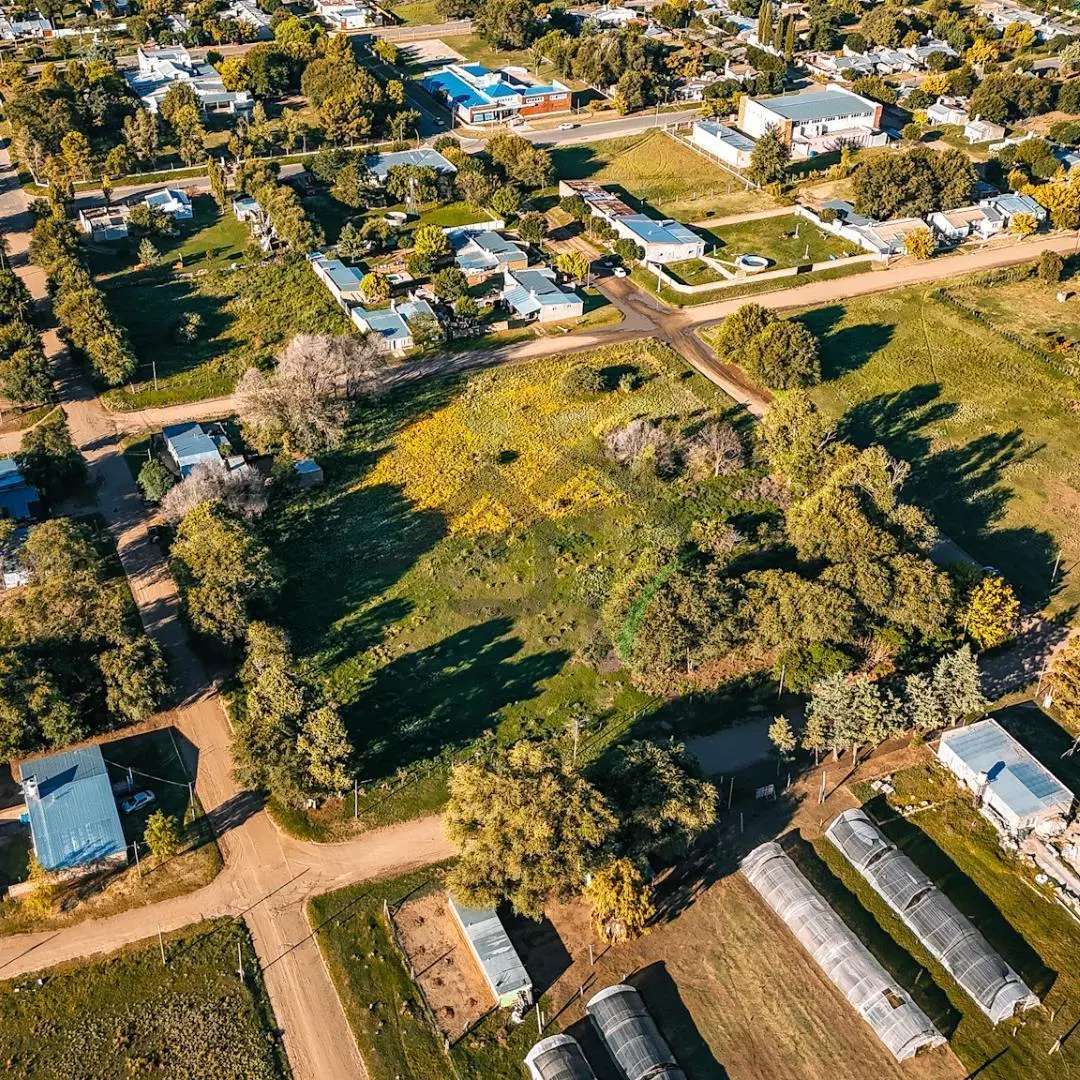 Amplio Terreno con construcción en Telén - Venta 5