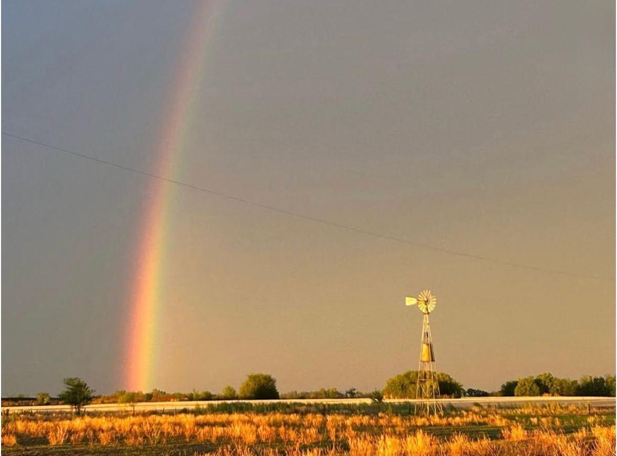 Foto de Fracción de Campo de 39,35 has ubicado en el Partido de Lobos, Provincia de Buenos Aires, imagen 3