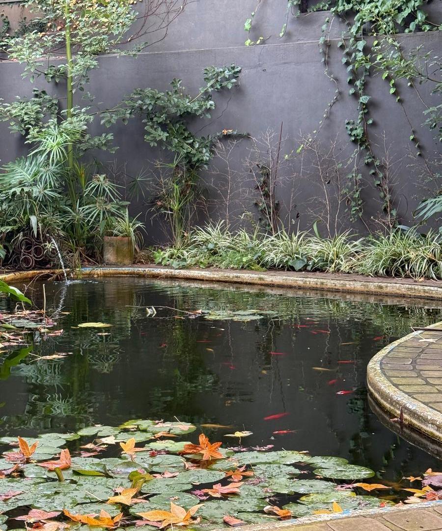 Foto de Casa en Olivos, imagen 5