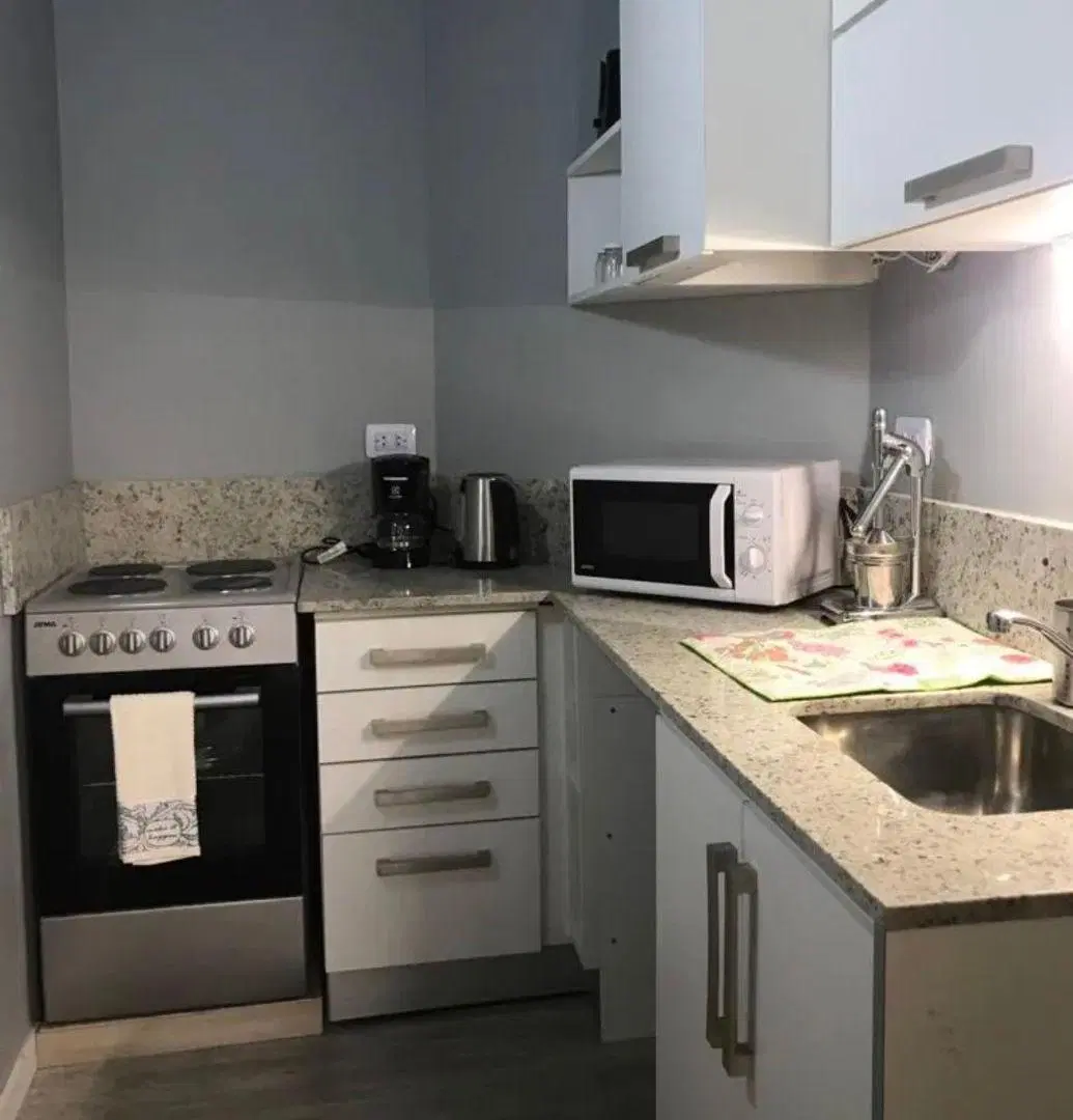 Departamento de 45 m² con 1 dormitorio en alquiler amoblado en Palermo 3