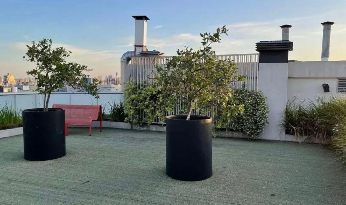 Foto de Departamento de 39 m² Amoblado con 1 habitación en alquiler y temporal, imagen 5