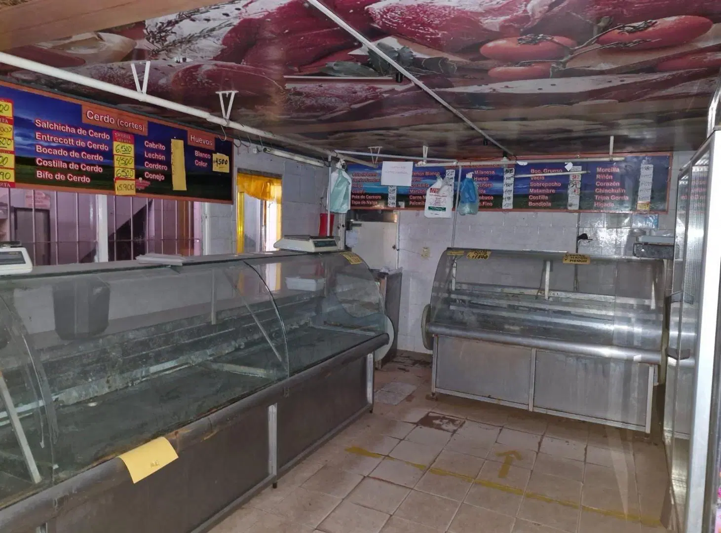 Local - Alberdi 5