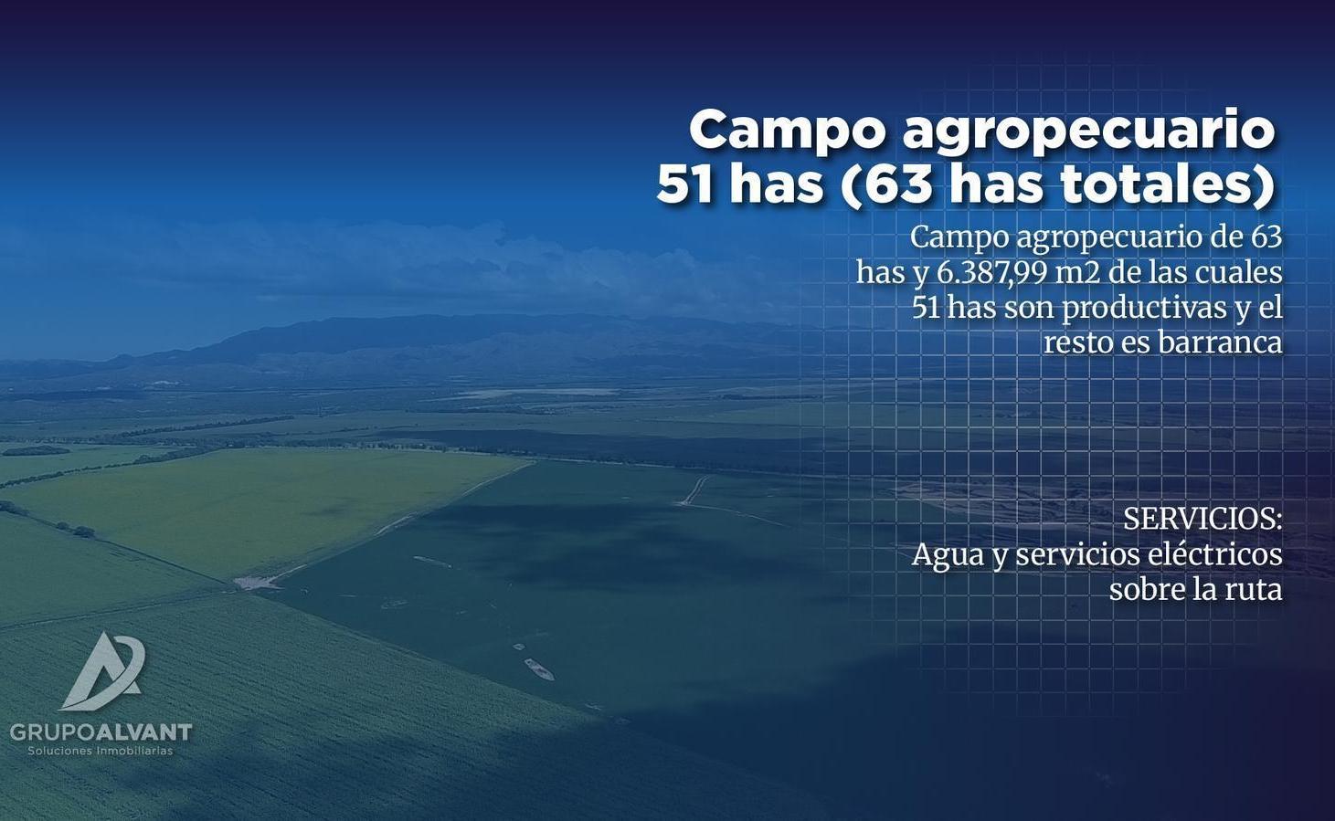 Foto de VENTA Campo agropecuario 51hs. Ruta Prov.Nº20, imagen 3