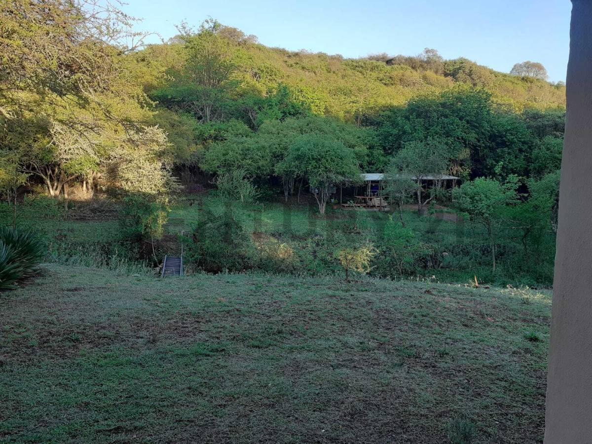 Foto de LOTE EN VENTA 3 HECTAREAS VILLA CERRO AZUL, imagen 5