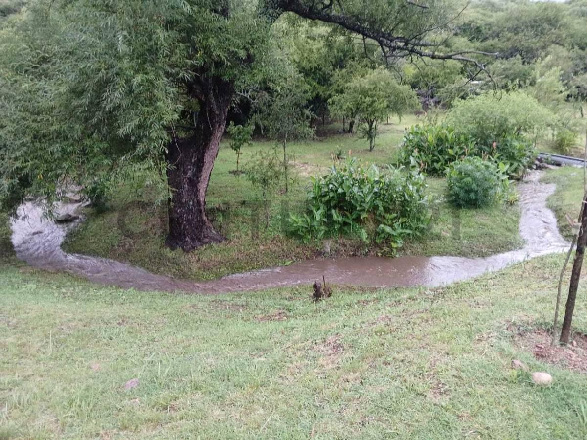 Foto de LOTE EN VENTA 3 HECTAREAS VILLA CERRO AZUL, imagen 2