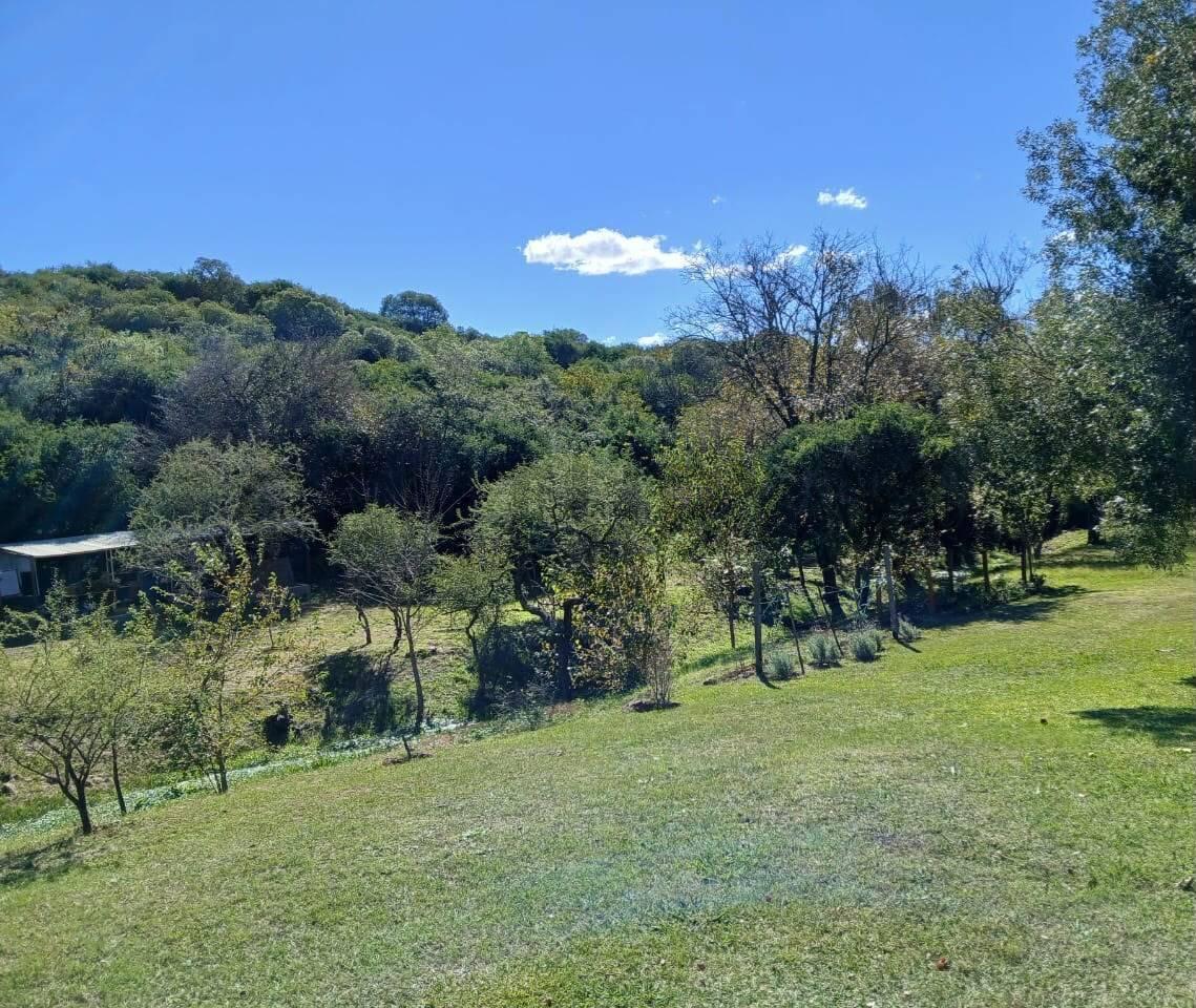 Foto de LOTE EN VENTA 3 HECTAREAS VILLA CERRO AZUL, imagen 1