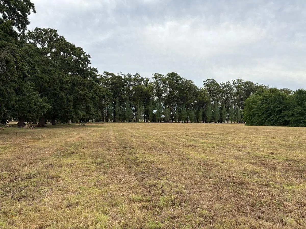 LOTE EN ESTANCIA VILLA MARÍA 5