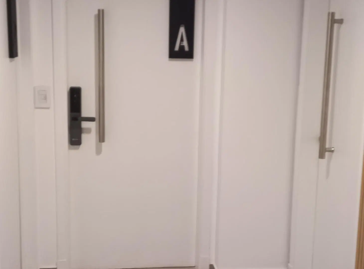 A ESTRENAR - PILETA - CATEGORÍA 8