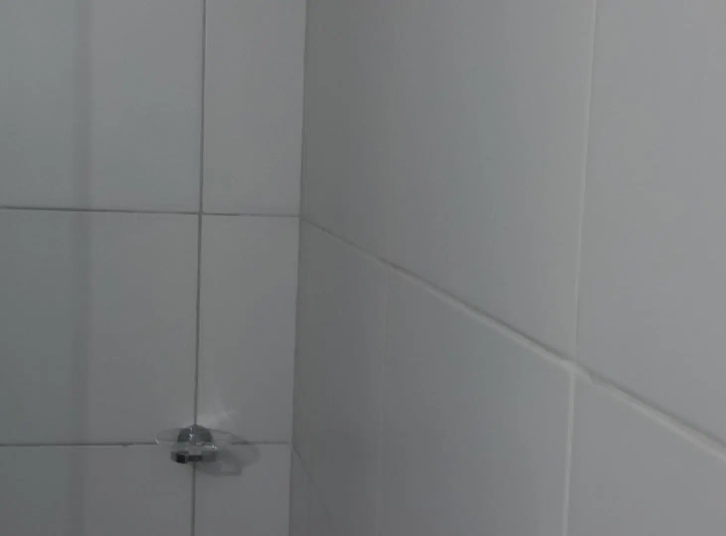 A ESTRENAR - PILETA - CATEGORÍA 5