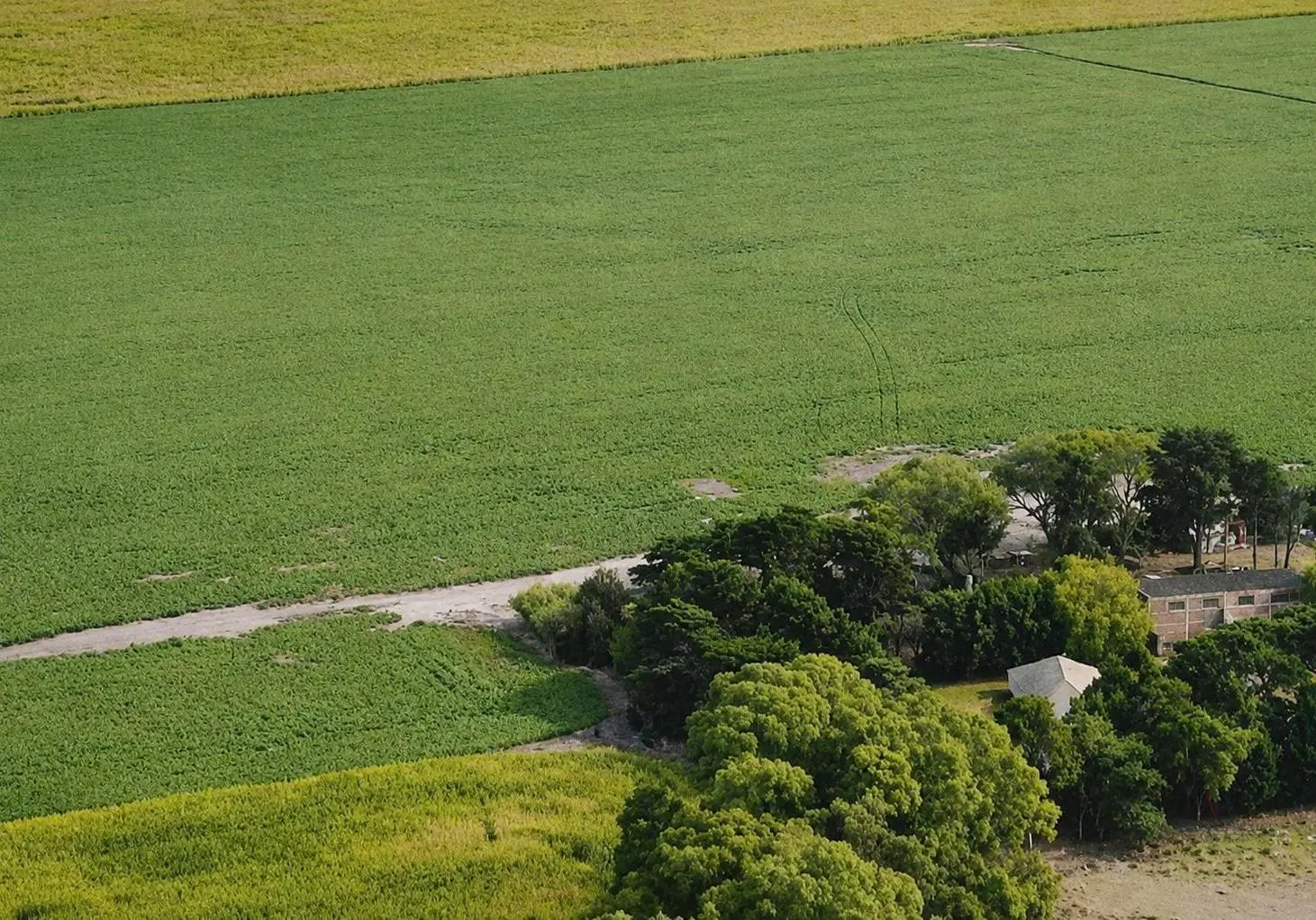 campo 3