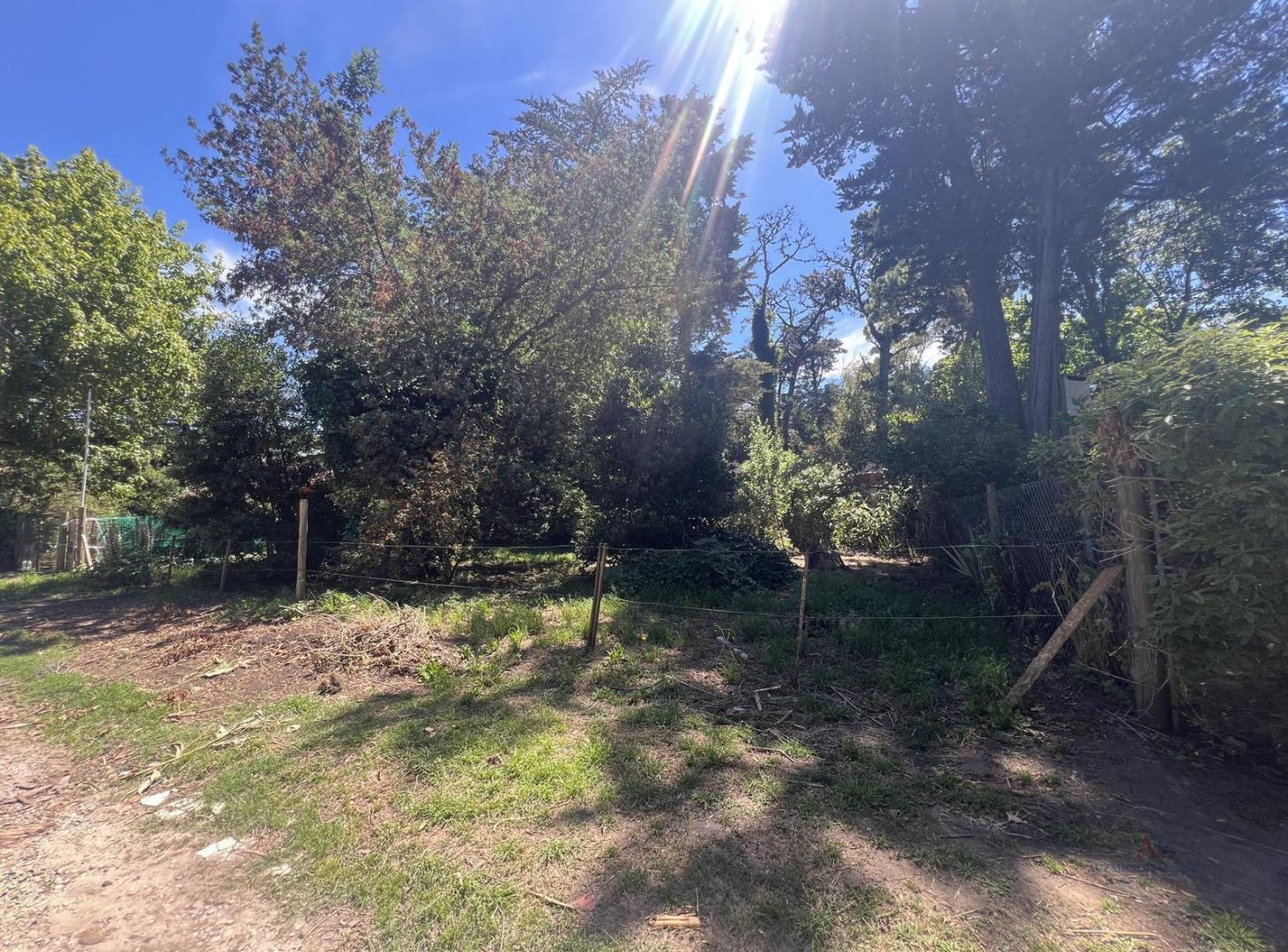 Foto de Venta Terreno en Bosque Peralta Ramos, imagen 5
