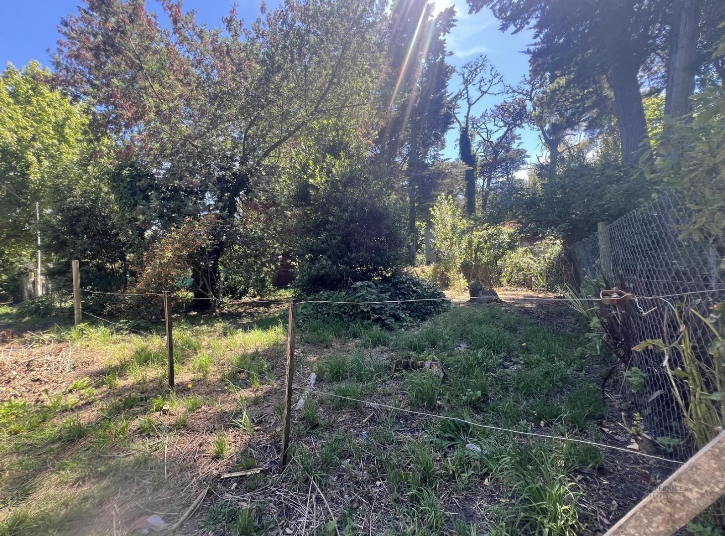 Foto de Venta Terreno en Bosque Peralta Ramos, imagen 4