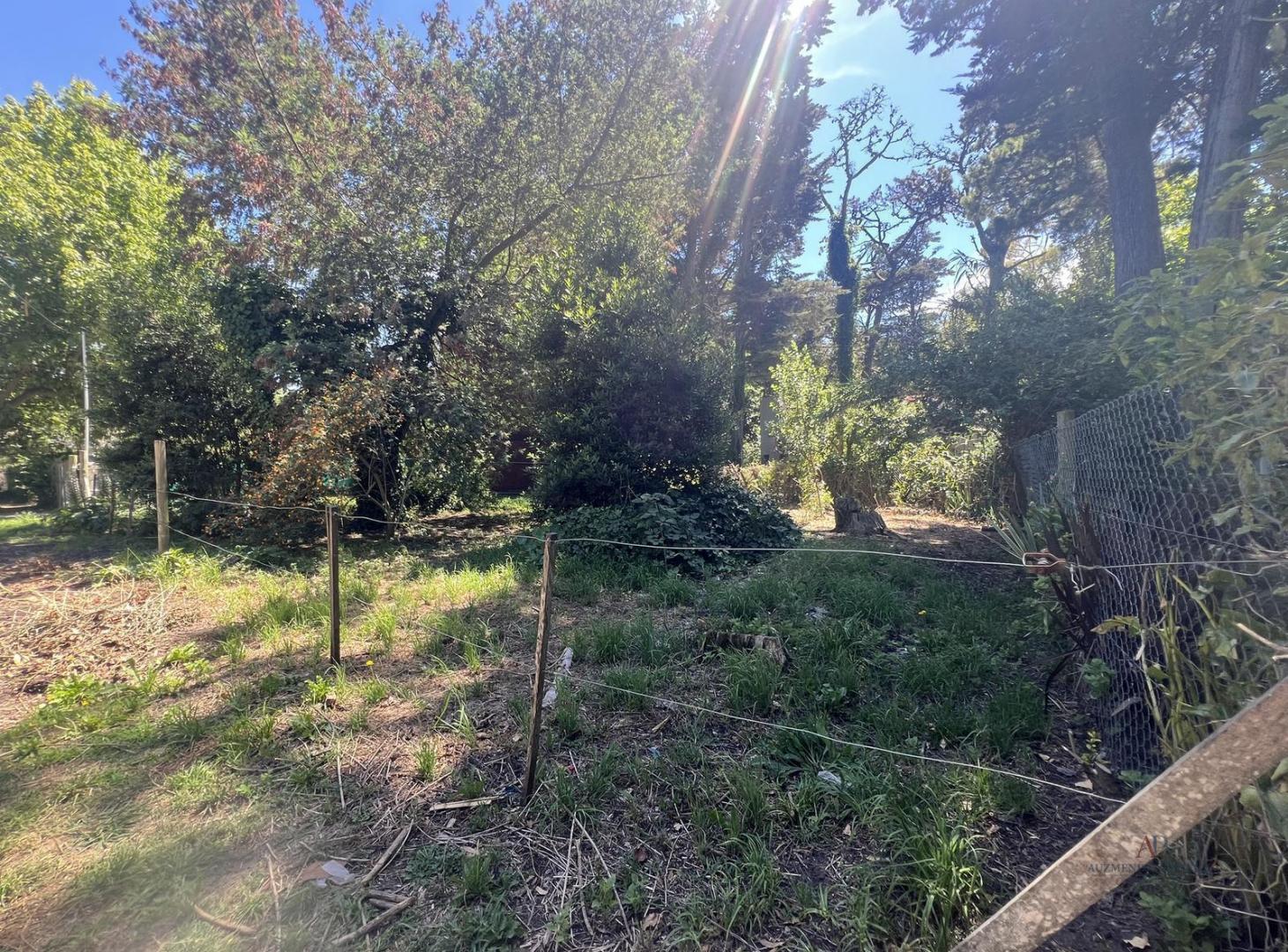 Foto de Venta Terreno en Bosque Peralta Ramos, imagen 1