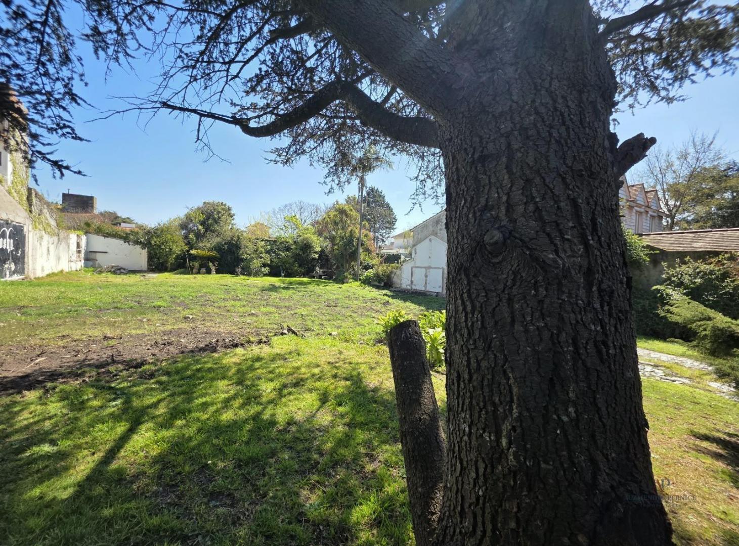 Foto de Terreno en Los Troncos lote para desarrollo, imagen 5