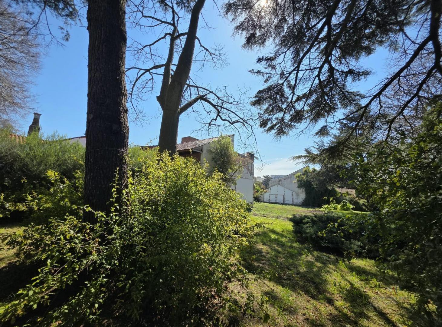 Foto de Terreno en Los Troncos, imagen 4