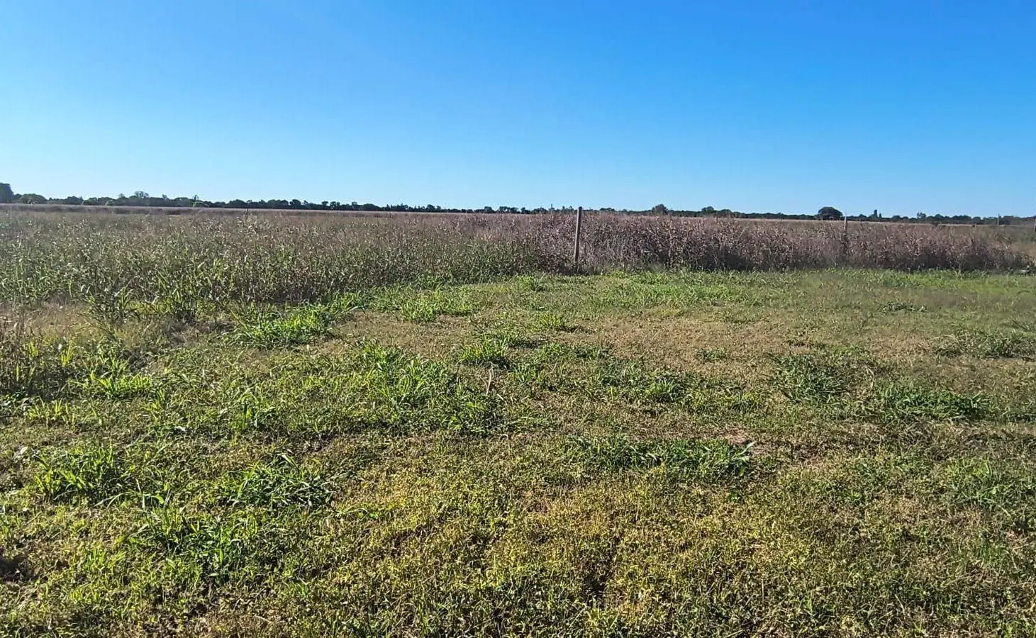 Terrenos en venta Villa Esquiu 2