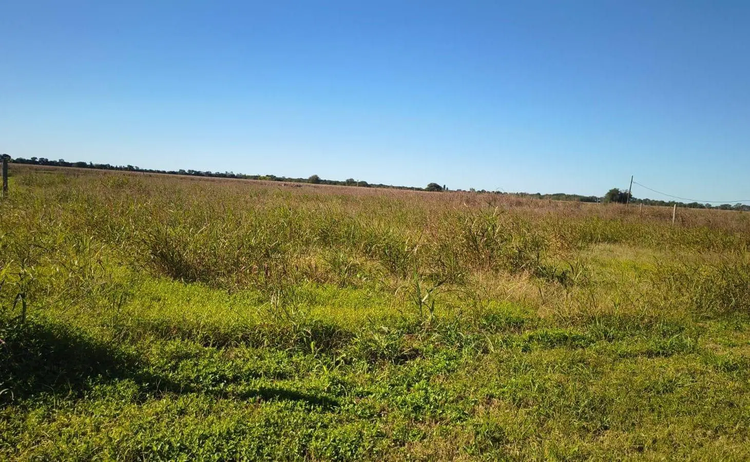 Terrenos en venta Villa Esquiu 3