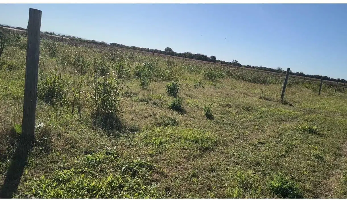 Terrenos en venta Villa Esquiu 5