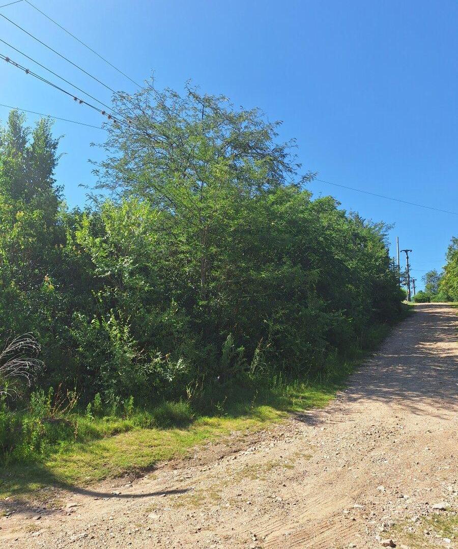 Foto de Lote en Venta Valle Hermoso, imagen 4