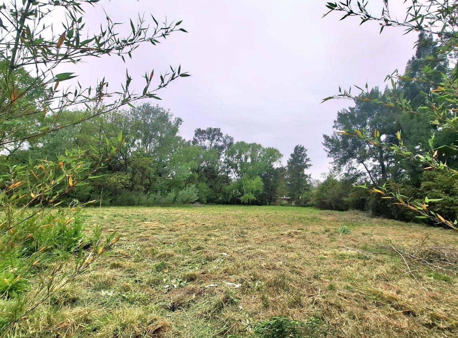 Foto de Terreno en venta Alejandro Korn, imagen 4