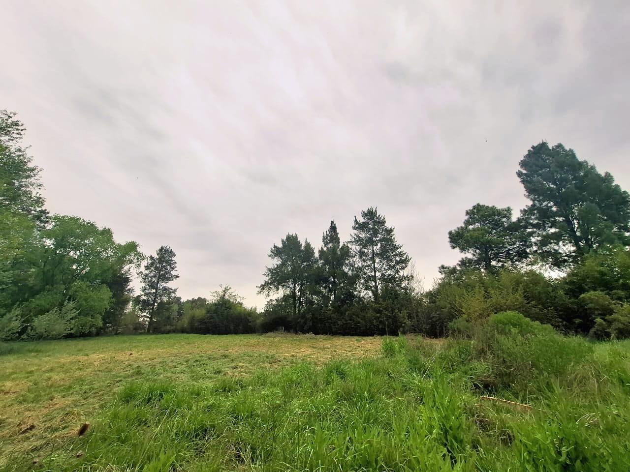 Foto de Terreno en venta Alejandro Korn, imagen 3