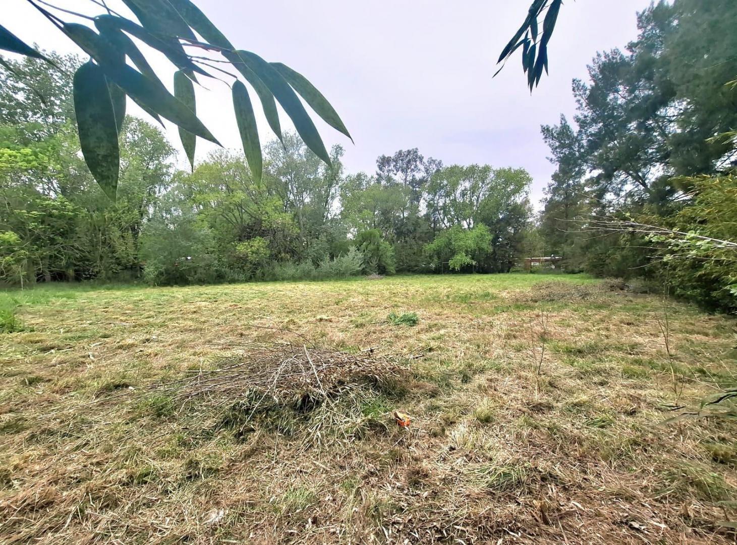 Foto de Terreno en venta Alejandro Korn, imagen 2