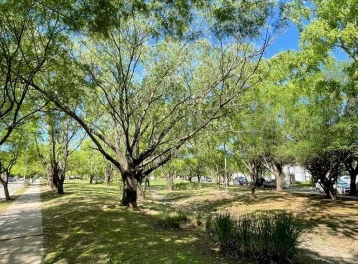 Lote en venta en Barrio Tejas 2, zona sur de Córdoba. 5