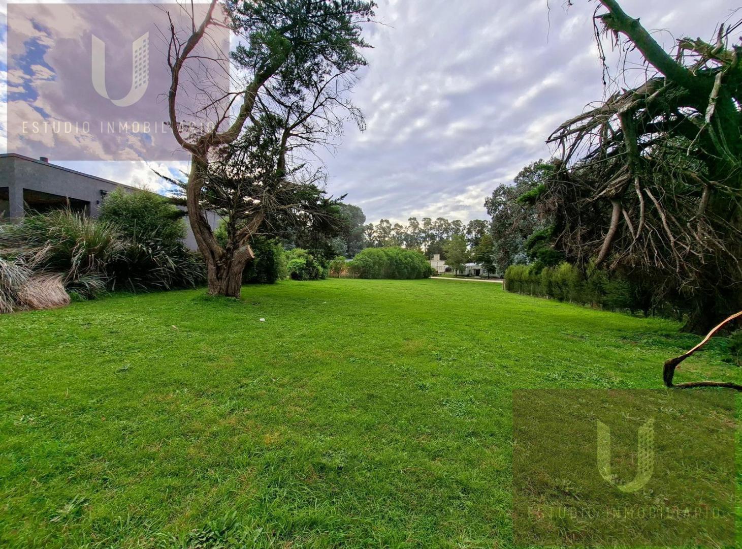 Foto de EXCELENTE LOTE EN EL CORAZON DEL COUNTRY BARRANCAS DE SAAN BENITO., imagen 2
