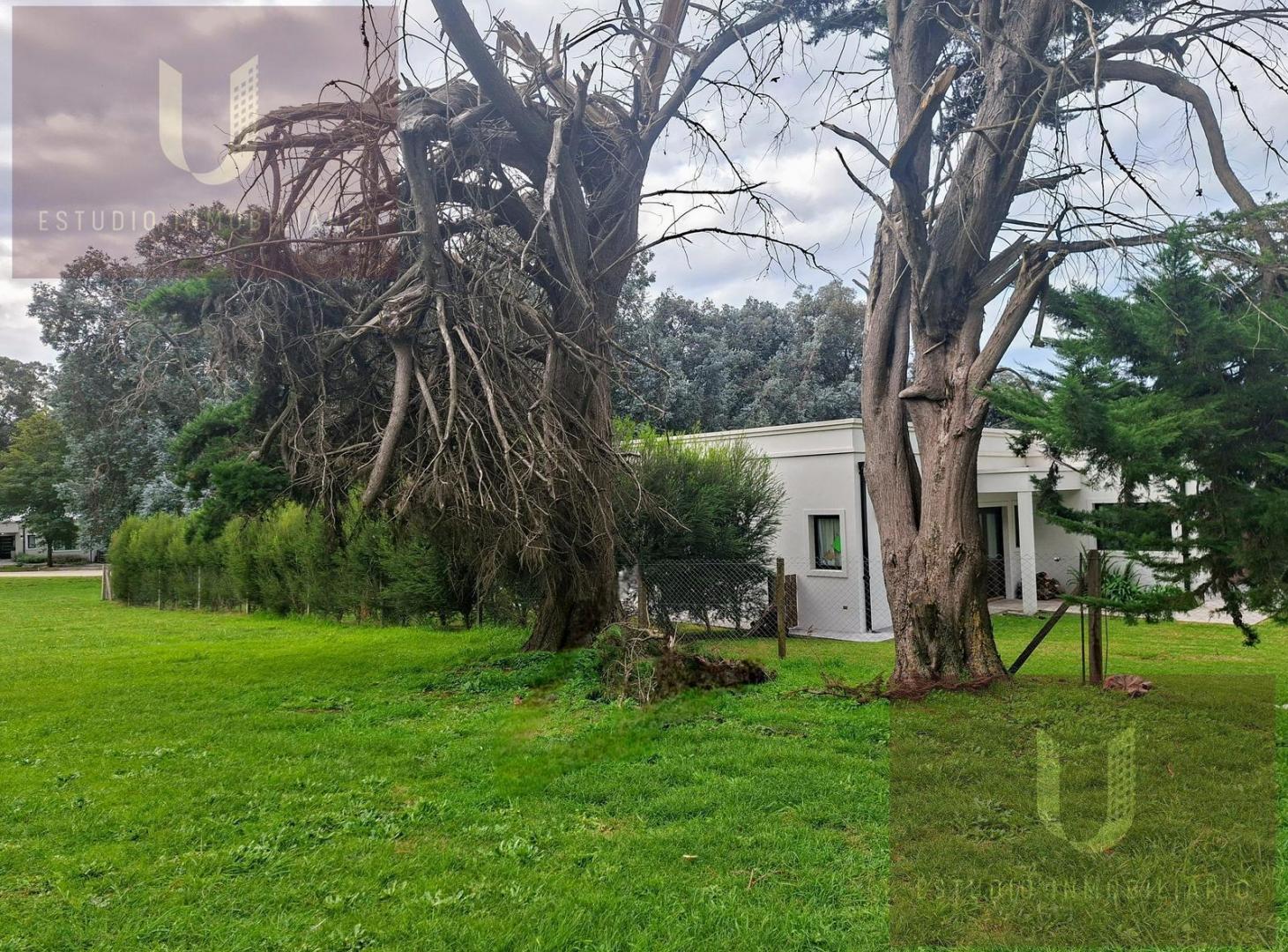 Foto de EXCELENTE LOTE EN EL CORAZON DEL COUNTRY BARRANCAS DE SAAN BENITO., imagen 5