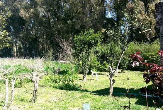 Terreno en Arana 5