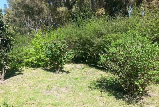 Terreno en Arana 4