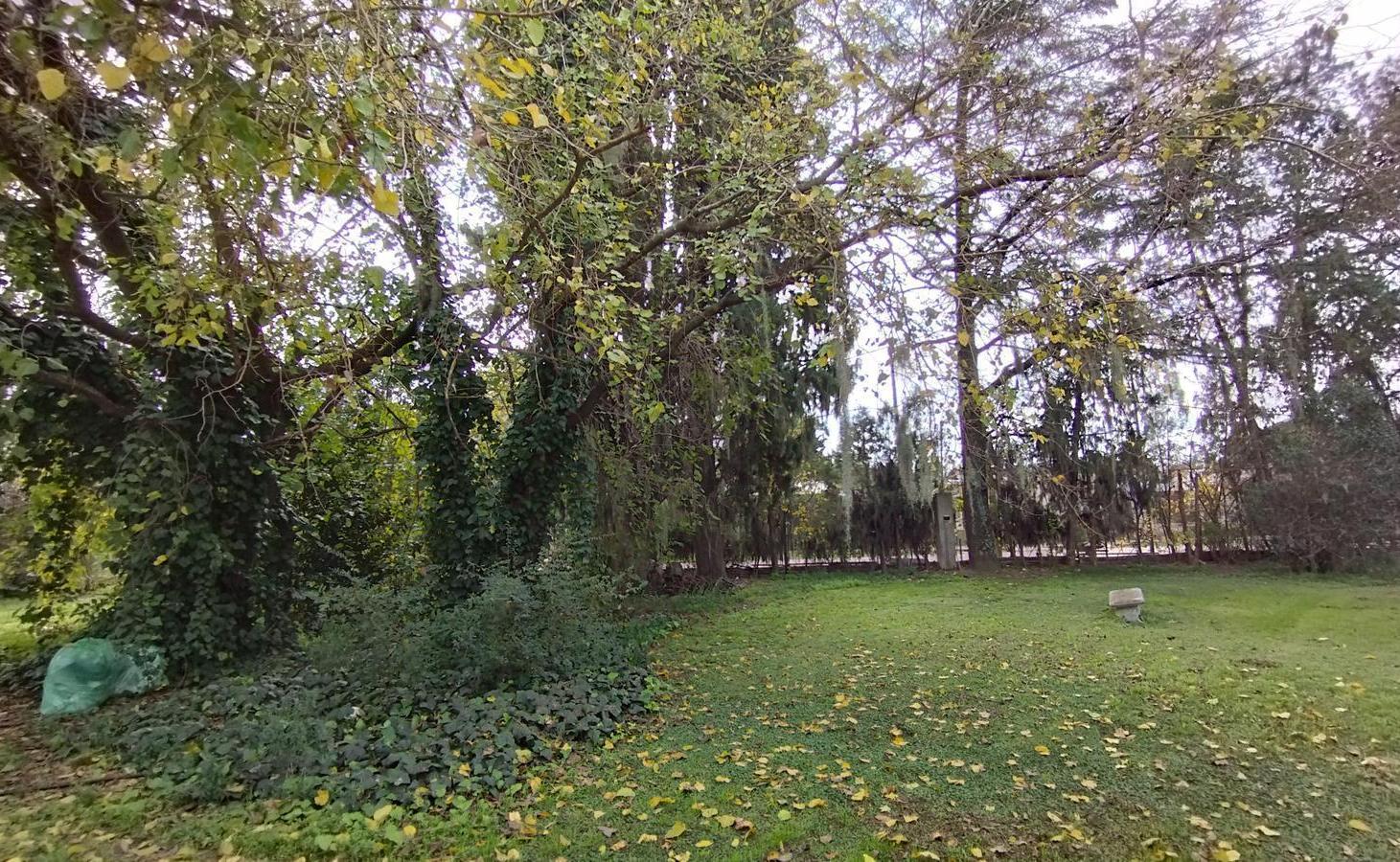 Foto de LOTE DE 1.590m2 SIVORI Y PRIMERA JUNTA SAN MIGUEL, imagen 2