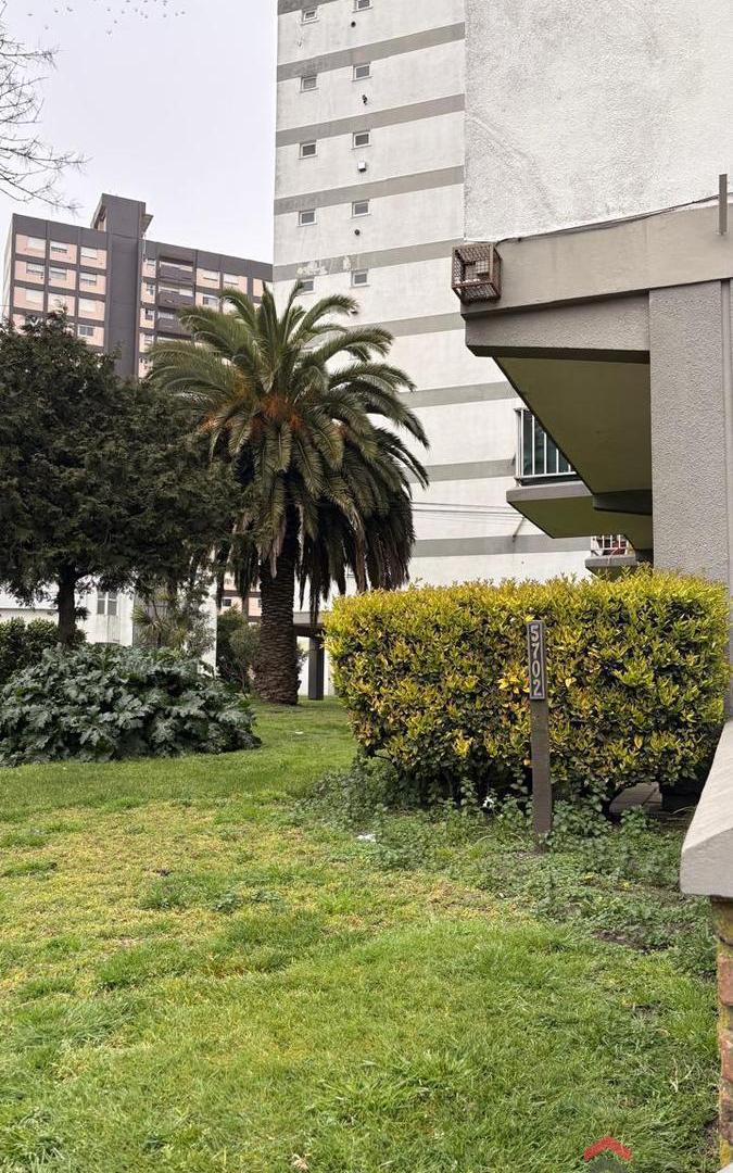 Foto de Departamento en Mar Del Plata, imagen 1
