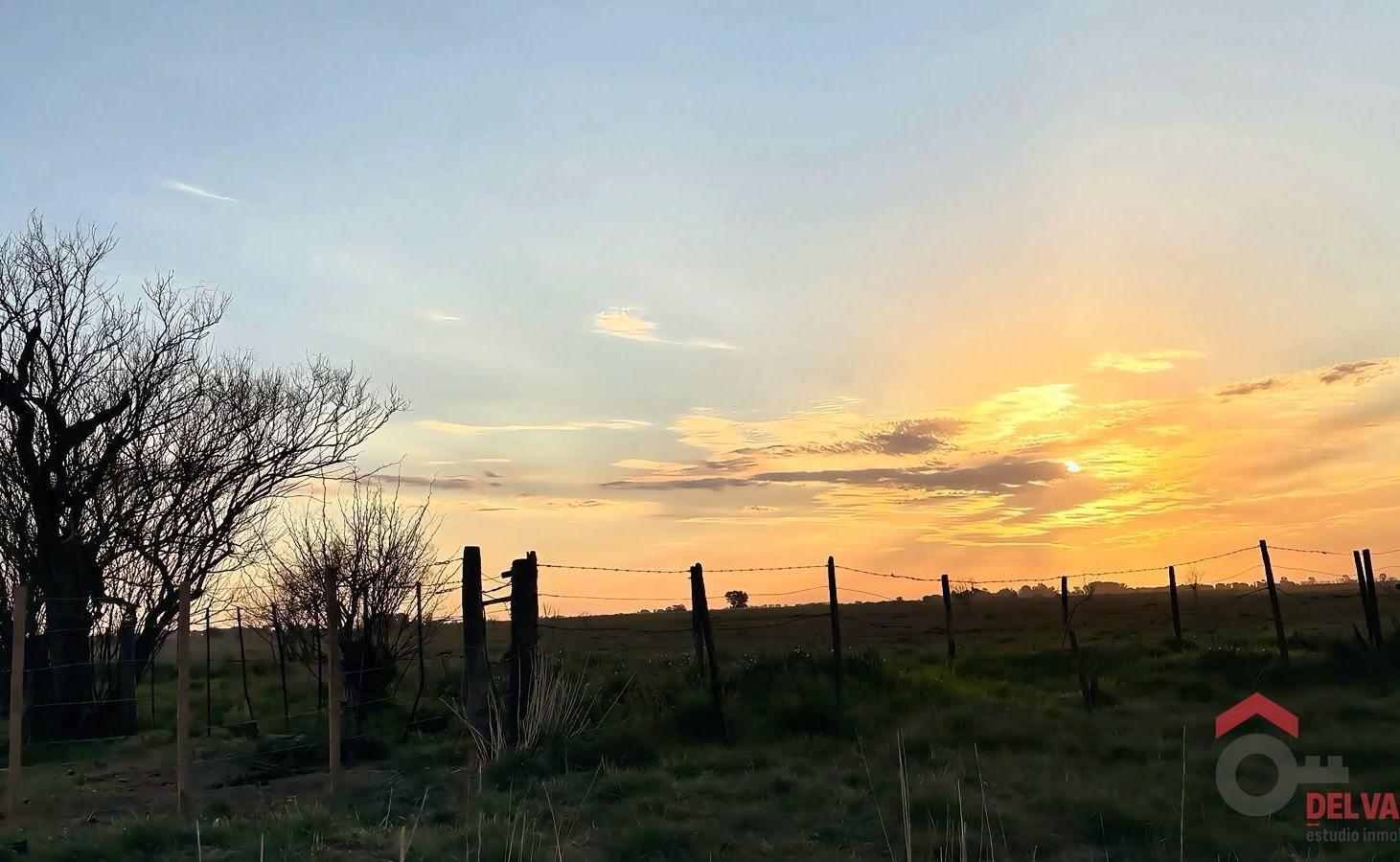 Foto de VENTA, CHARA, 42 HA. GANADERAS, MUY CERCA DE RUTA 5 Y 226, A 10 MINUTOS, imagen 5