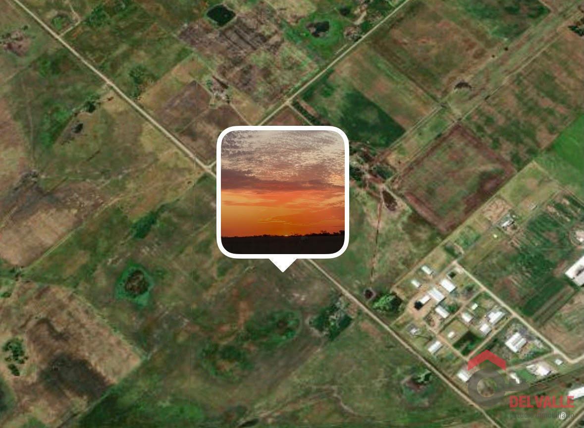 VENTA, CHARA, 42 HA. GANADERAS, MUY CERCA DE RUTA 5 Y 226,  A 10 MINUTOS DEL CENTRO DE PEHUAJÓ EN