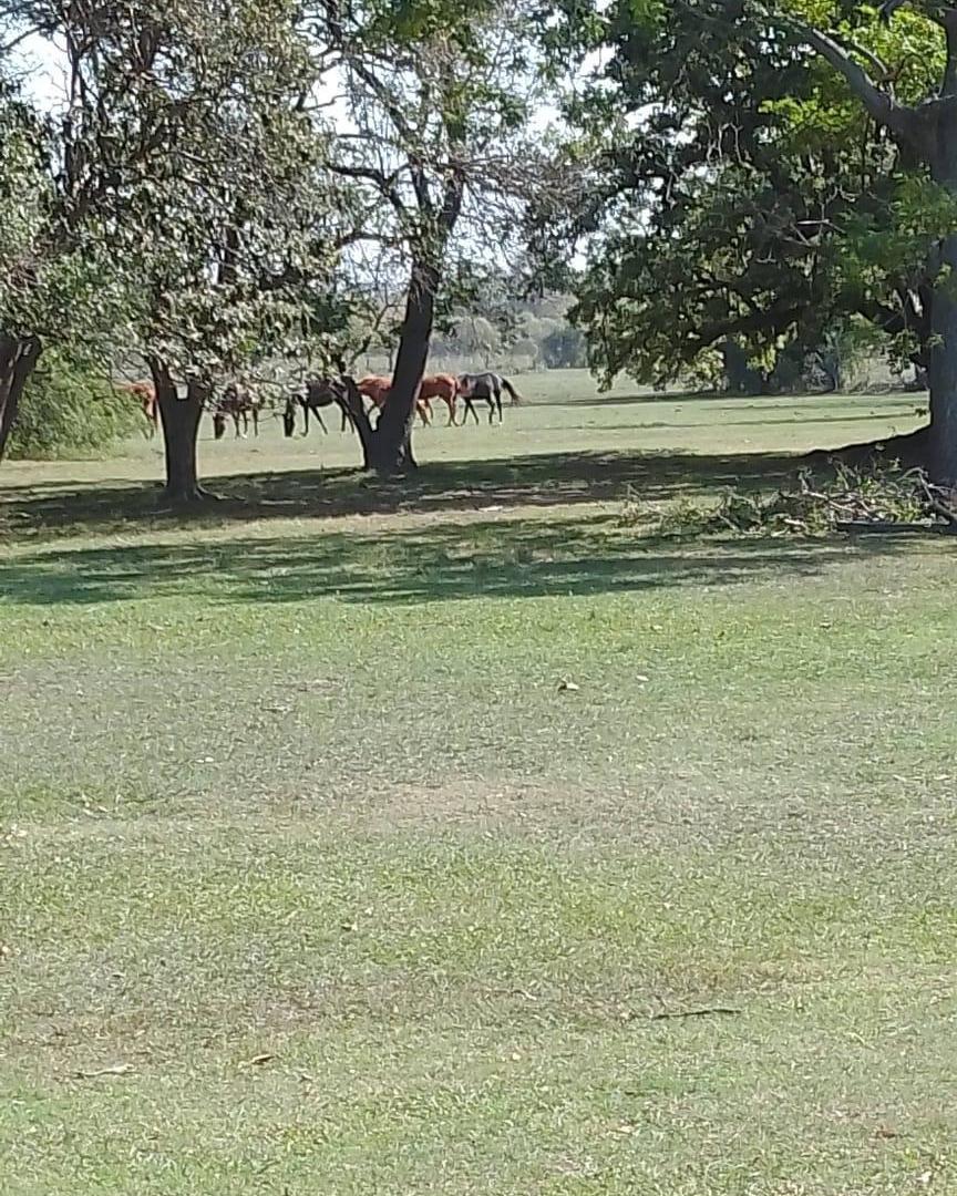 Foto de Fraccion de campo de 15 hectaras, imagen 3