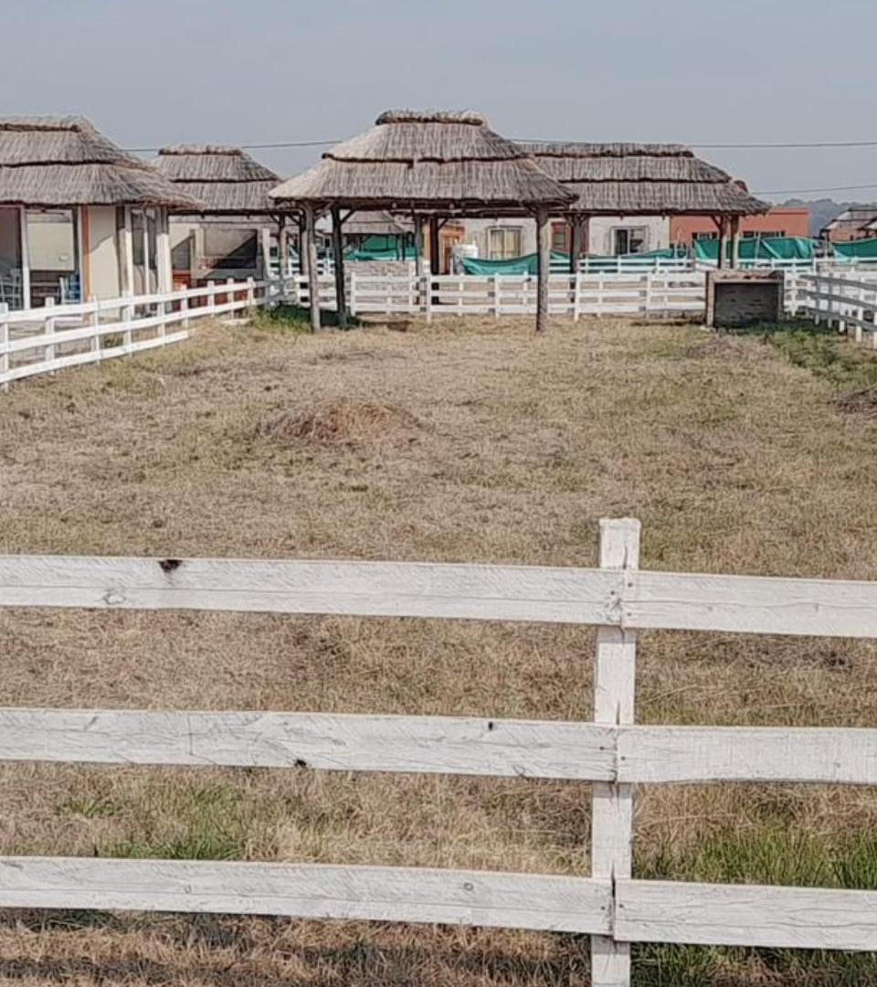 Foto de Terreno en General Rodriguez, imagen 5
